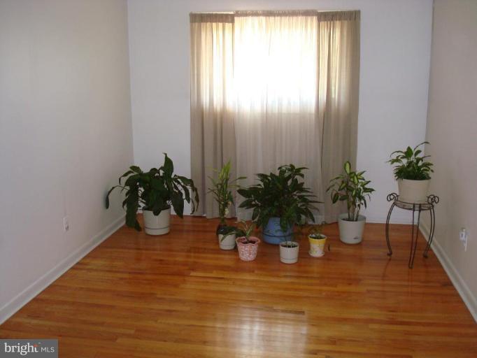 4734 Byron Road Windsor Mill, MD 21244 - Photo 10 of 10 a view of a potted plants with a chair
