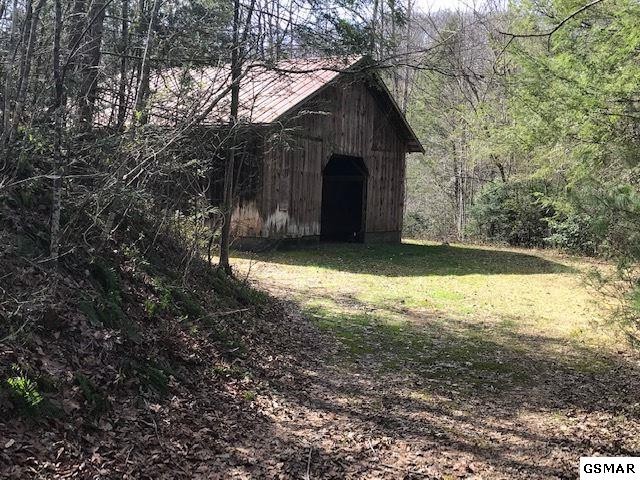 11 Reed Ridge Road Gatlinburg, TN 37738 - Photo 1 of 12