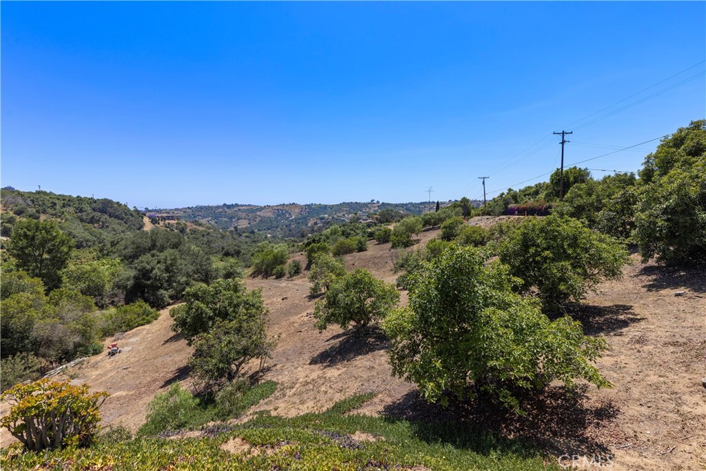 3237 Canonita Drive Fallbrook, CA 92028 - Photo 53 of 55 a view of a city with lush green forest