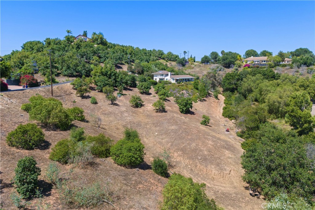 3237 Canonita Drive Fallbrook, CA 92028 - Photo 54 of 55 a view of a garden with a building in the background