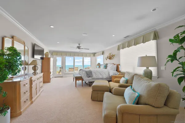 a living room filled with furniture and a potted plant