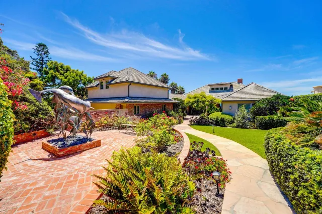a view of a yard with plants
