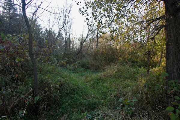 $520,000 | Tbd Tbd 230th Street, Worthington, MN 56187