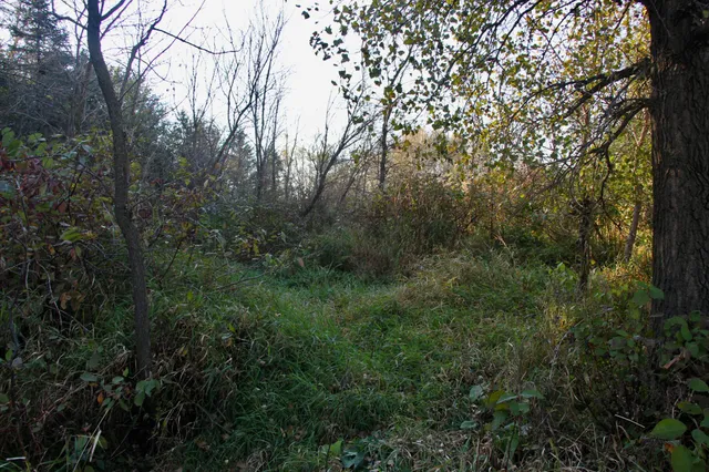 $520,000 | Tbd Tbd 230th Street, Worthington, MN 56187