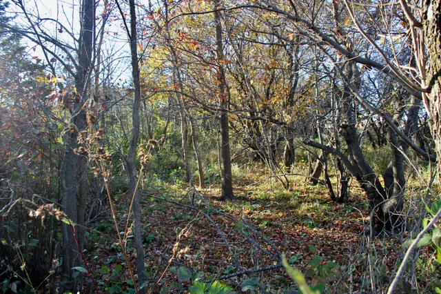 $520,000 | Tbd Tbd 230th Street, Worthington, MN 56187