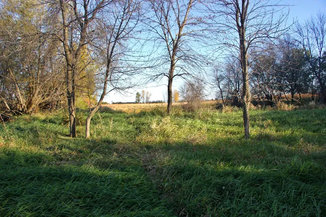 $520,000 | Tbd Tbd 230th Street, Worthington, MN 56187