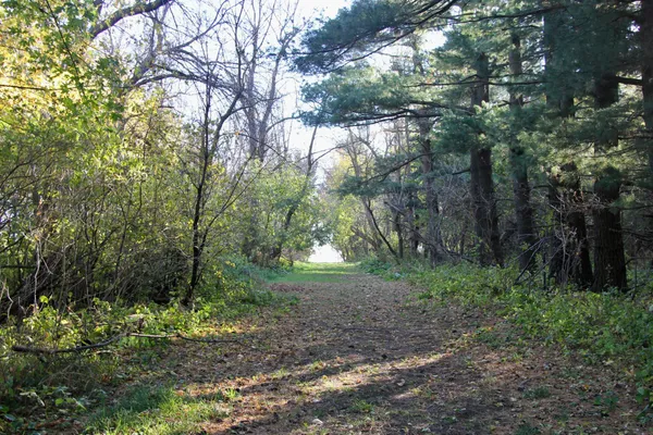 $520,000 | Tbd Tbd 230th Street, Worthington, MN 56187
