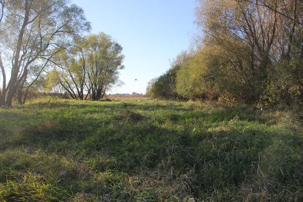 $520,000 | Tbd Tbd 230th Street, Worthington, MN 56187