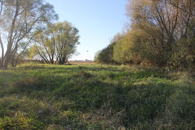 $520,000 | Tbd Tbd 230th Street, Worthington, MN 56187