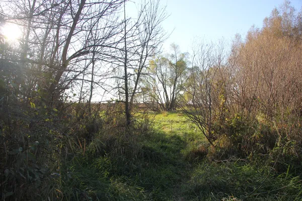 $520,000 | Tbd Tbd 230th Street, Worthington, MN 56187