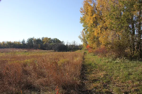 $520,000 | Tbd Tbd 230th Street, Worthington, MN 56187