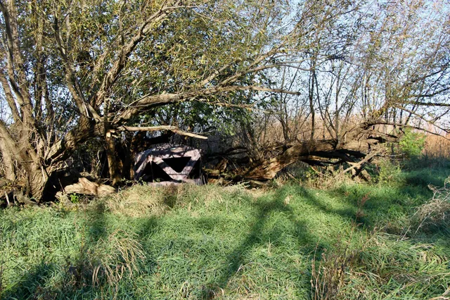 $520,000 | Tbd Tbd 230th Street, Worthington, MN 56187