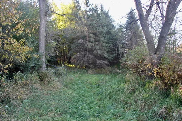 $520,000 | Tbd Tbd 230th Street, Worthington, MN 56187