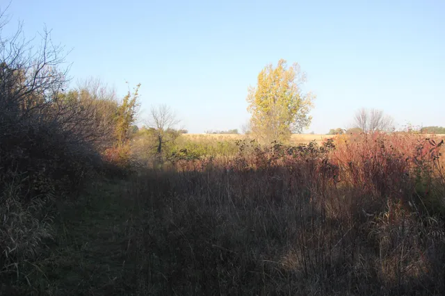 $520,000 | Tbd Tbd 230th Street, Worthington, MN 56187