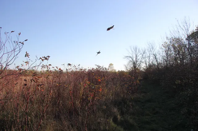 $520,000 | Tbd Tbd 230th Street, Worthington, MN 56187