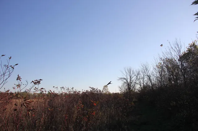 $520,000 | Tbd Tbd 230th Street, Worthington, MN 56187