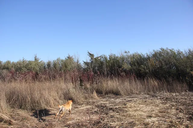 $520,000 | Tbd Tbd 230th Street, Worthington, MN 56187