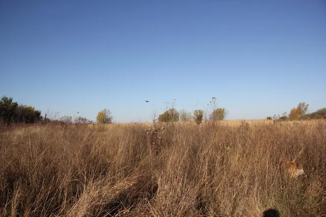 $520,000 | Tbd Tbd 230th Street, Worthington, MN 56187