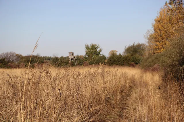 $520,000 | Tbd Tbd 230th Street, Worthington, MN 56187