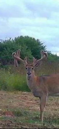 $520,000 | Tbd Tbd 230th Street, Worthington, MN 56187