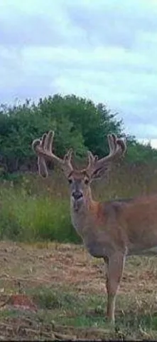 $520,000 | Tbd Tbd 230th Street, Worthington, MN 56187