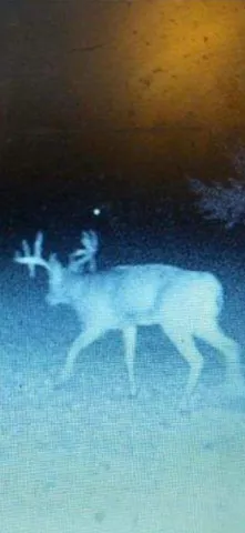 $520,000 | Tbd Tbd 230th Street, Worthington, MN 56187