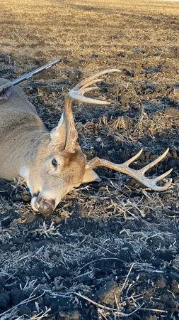 $520,000 | Tbd Tbd 230th Street, Worthington, MN 56187