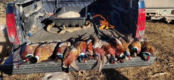 $520,000 | Tbd Tbd 230th Street, Worthington, MN 56187