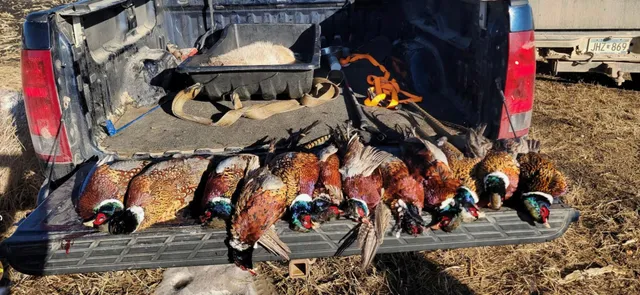 $520,000 | Tbd Tbd 230th Street, Worthington, MN 56187