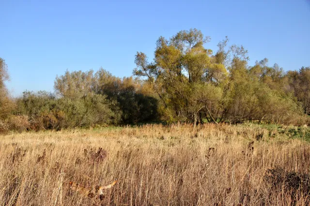 $520,000 | Tbd Tbd 230th Street, Worthington, MN 56187