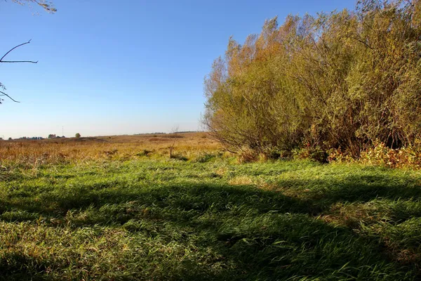 $520,000 | Tbd Tbd 230th Street, Worthington, MN 56187