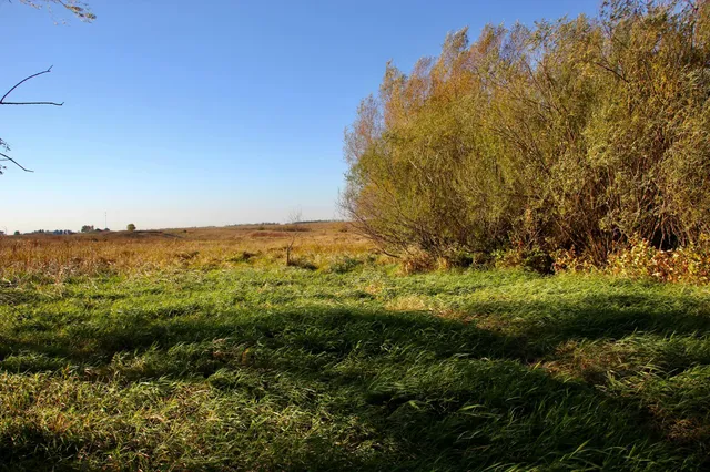 $520,000 | Tbd Tbd 230th Street, Worthington, MN 56187