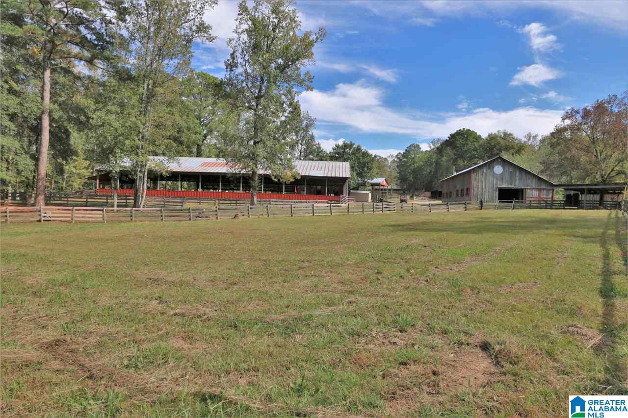 8460 Wolf Creek Road South Pell City, AL 35128 - Photo 31 of 49