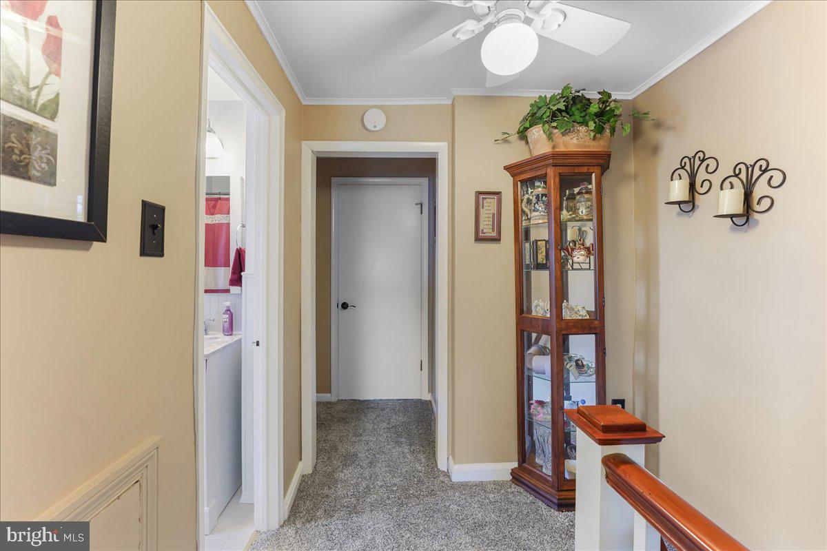 125 Orchard Road Ridley Park, PA 19078 - Photo 17 of 41