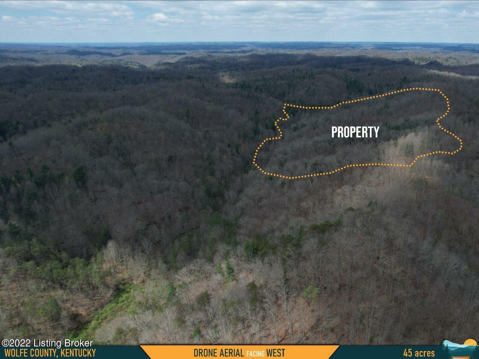 0 Tom Rose Br Road Campton, KY 41301 - Photo 2 of 36 2