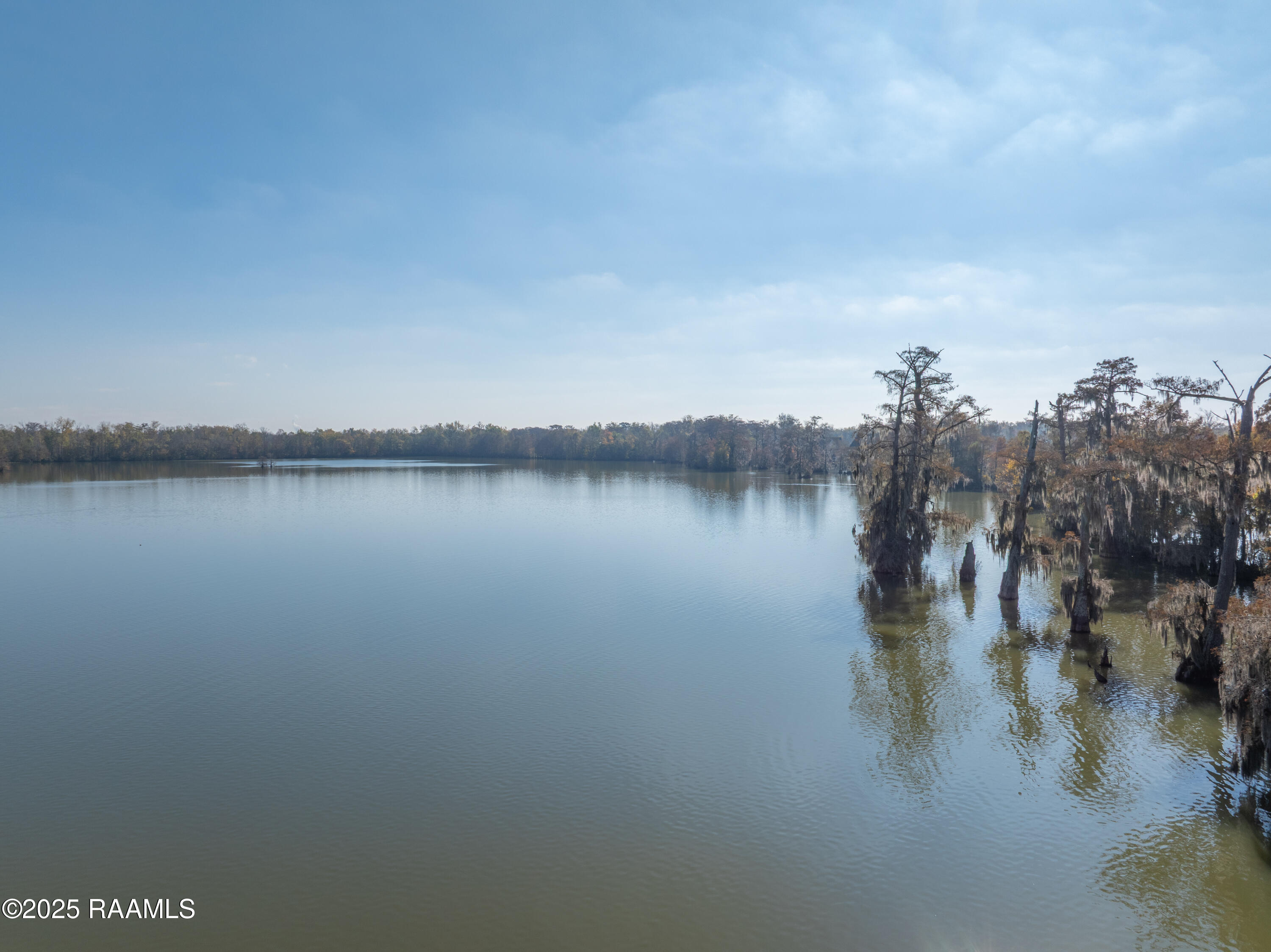 319 South Wilderness Road Port Barre, LA 70577 - Photo 59 of 60 319SWilderness-7