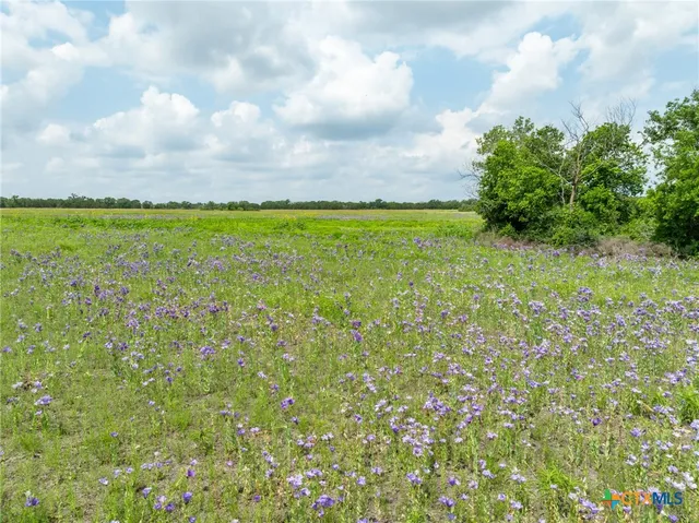 $395,900 | Lot 4 County Road 426, Purmela, TX 76566