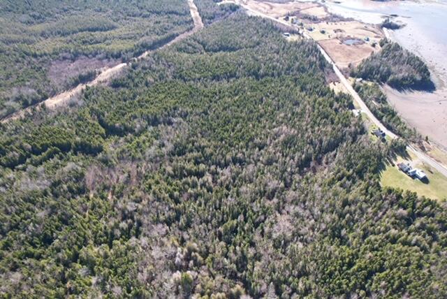 Lot 29 Cutler Road Whiting, ME 04691 - Photo 8 of 9