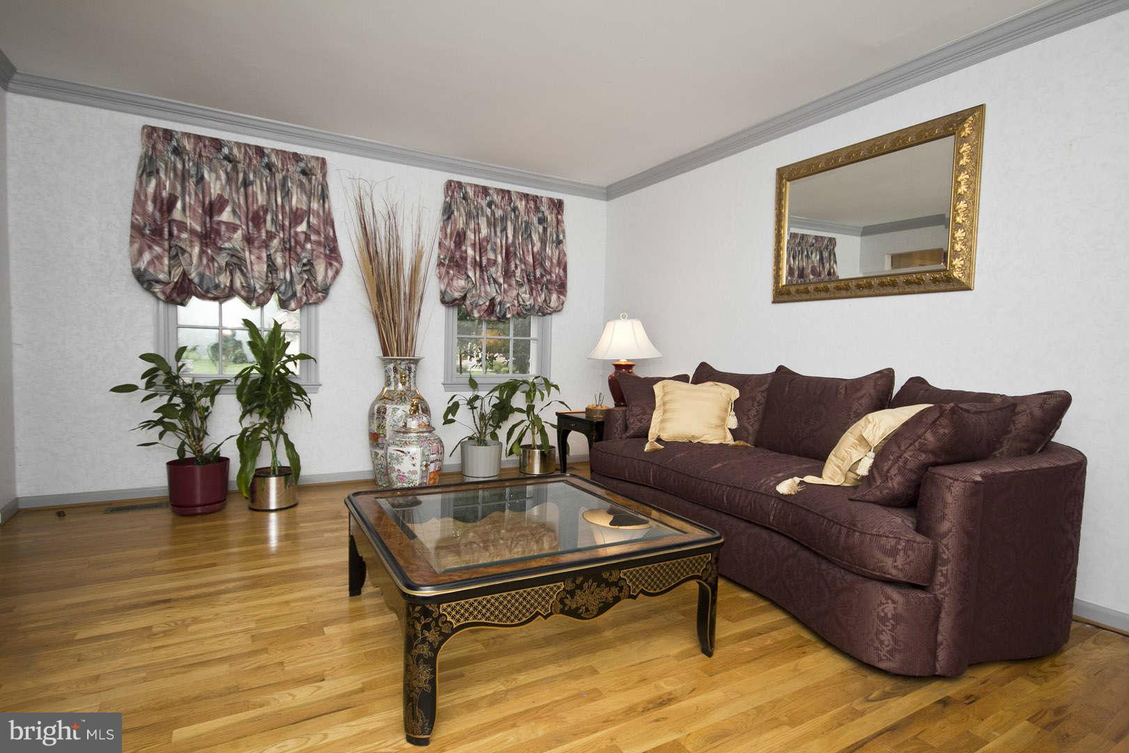 13608 Turnmore Road Silver Spring, MD 20906 - Photo 4 of 30 a living room with furniture and a potted plant
