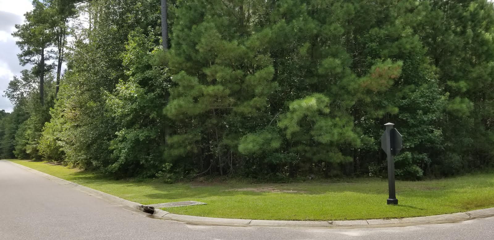 Lot 28 Satling Court Ridgeville, SC 29472 - Photo 2 of 6 4