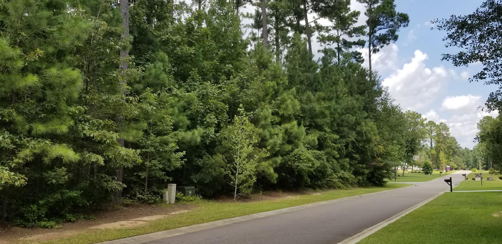 Lot 28 Satling Court Ridgeville, SC 29472 - Photo 3 of 6 1