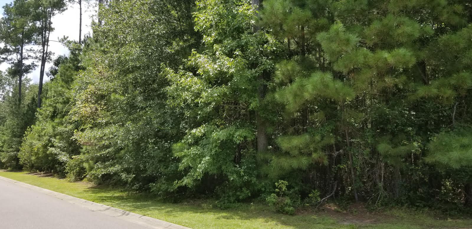 Lot 28 Satling Court Ridgeville, SC 29472 - Photo 4 of 6 2