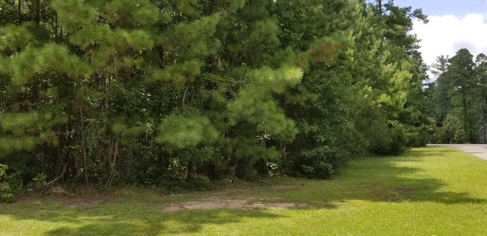Lot 28 Satling Court Ridgeville, SC 29472 - Photo 5 of 6 3