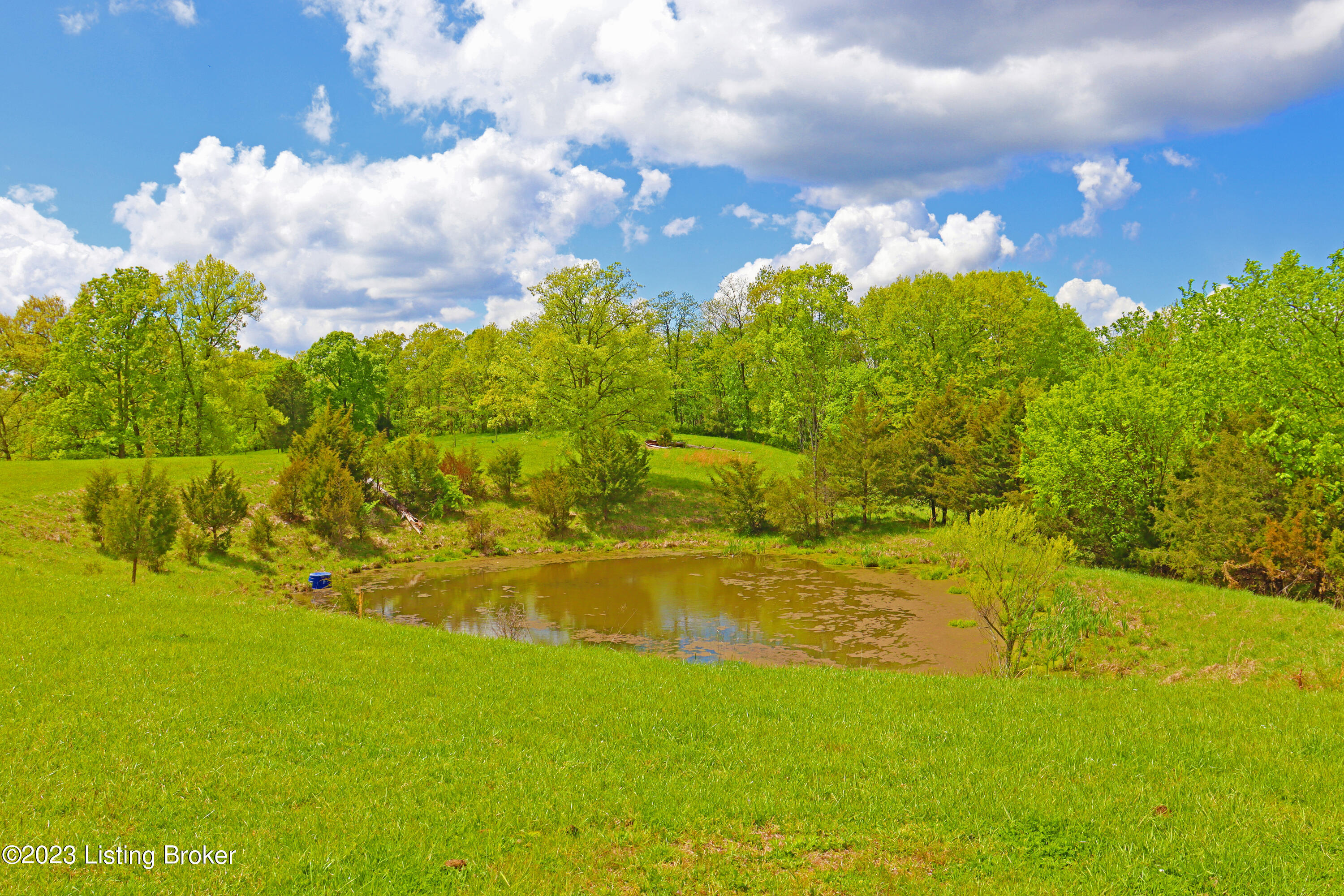 1771 Lebanon Ridge Road Bagdad, KY 40003 - Photo 58 of 65 Pond #4