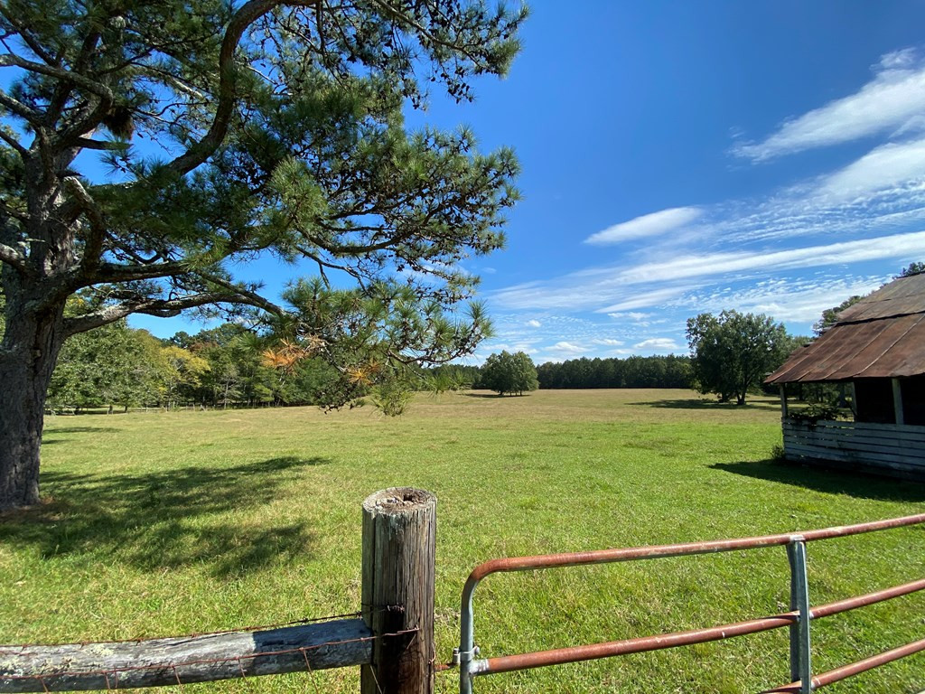 1274 North Martintown Road Edgefield, SC 29824 - Photo 14 of 32