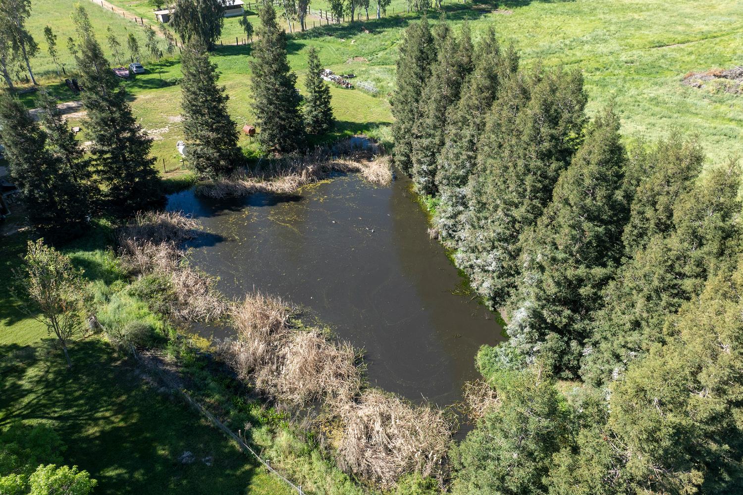 3401 Bogue Road Denair, CA 95316 - Photo 47 of 65