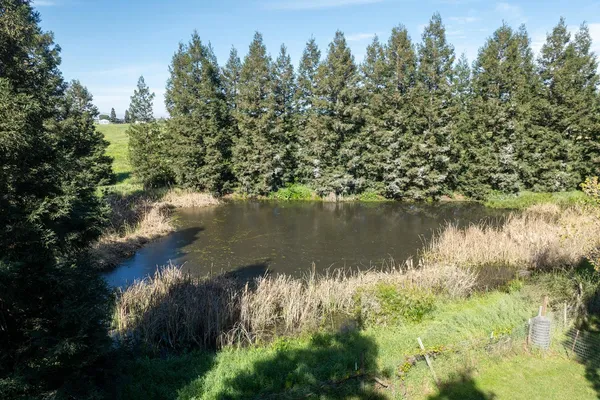 $1,300,000 | 3401 Bogue Road, Denair, CA 95316