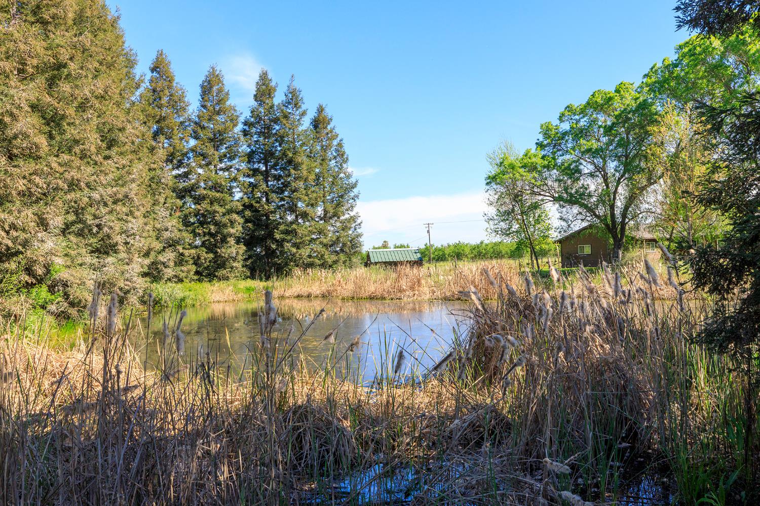 3401 Bogue Road Denair, CA 95316 - Photo 59 of 65