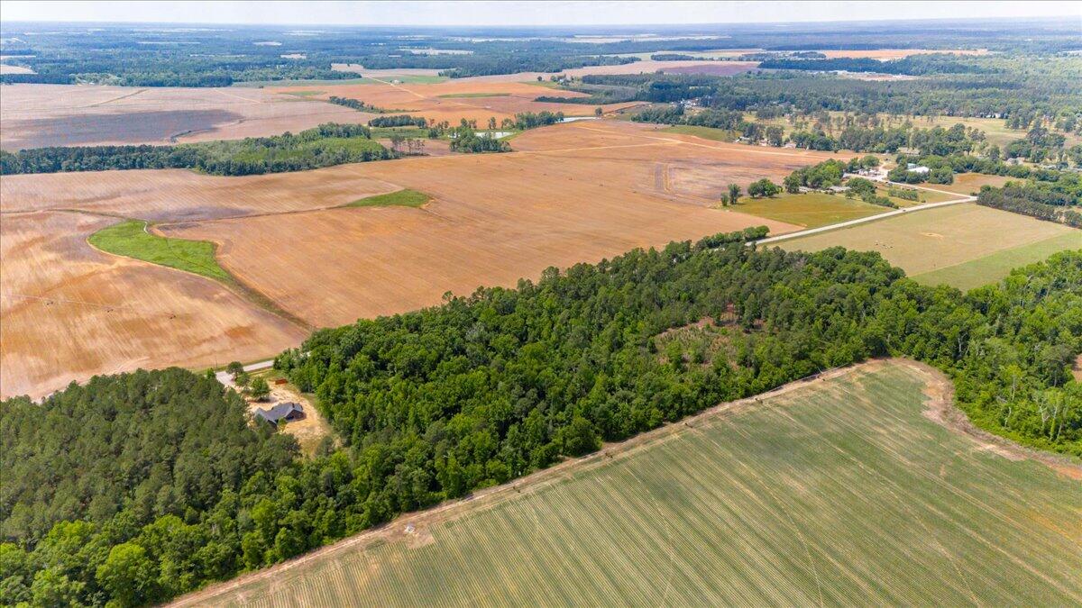 0 Herndon Road Waynesboro, GA 30830 - Photo 8 of 12 07-007-