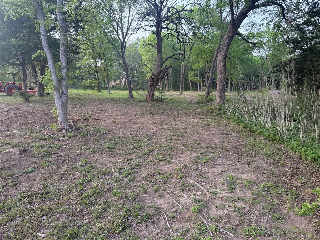 Tbd Waterworks Road Midlothian, TX 76065 - Photo 21 of 23 a view of a forest with trees